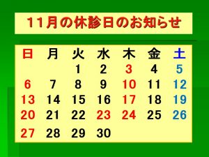 %ef%bd%8828-11%e6%9c%88