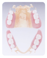 保険外　入れ歯