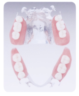 保険外　入れ歯